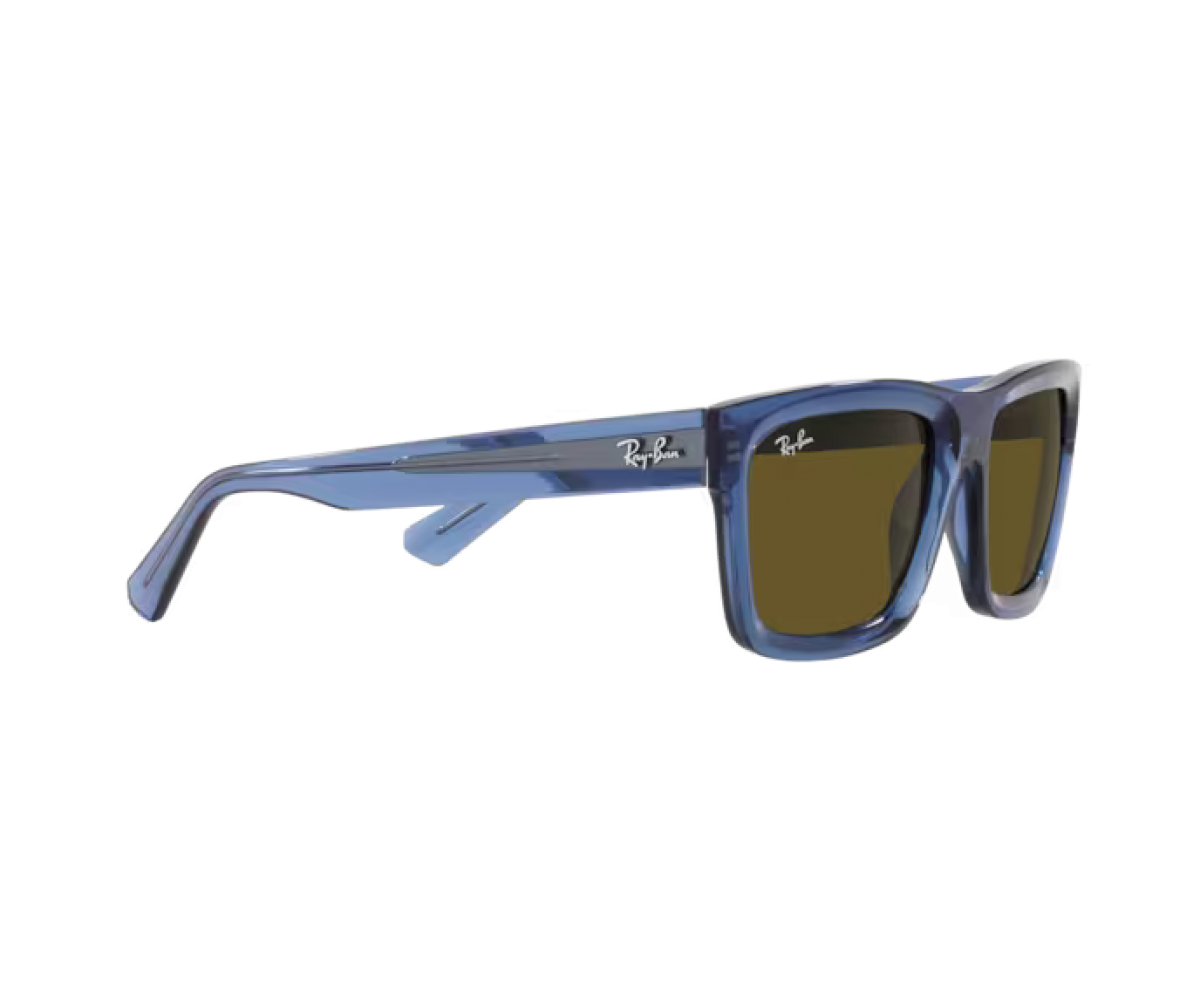 RAY BAN WARREN RB4396/6680/73